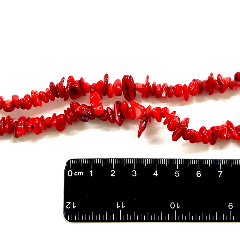 Caracol de Agua Dulce, Chips, Beads