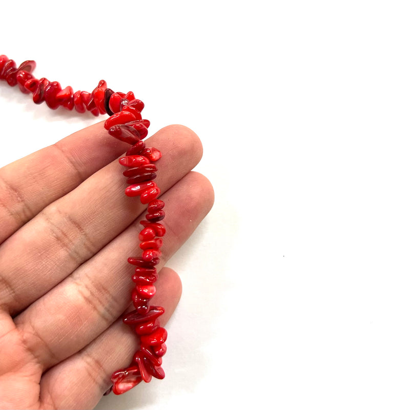 Caracol de Agua Dulce, Chips, Beads