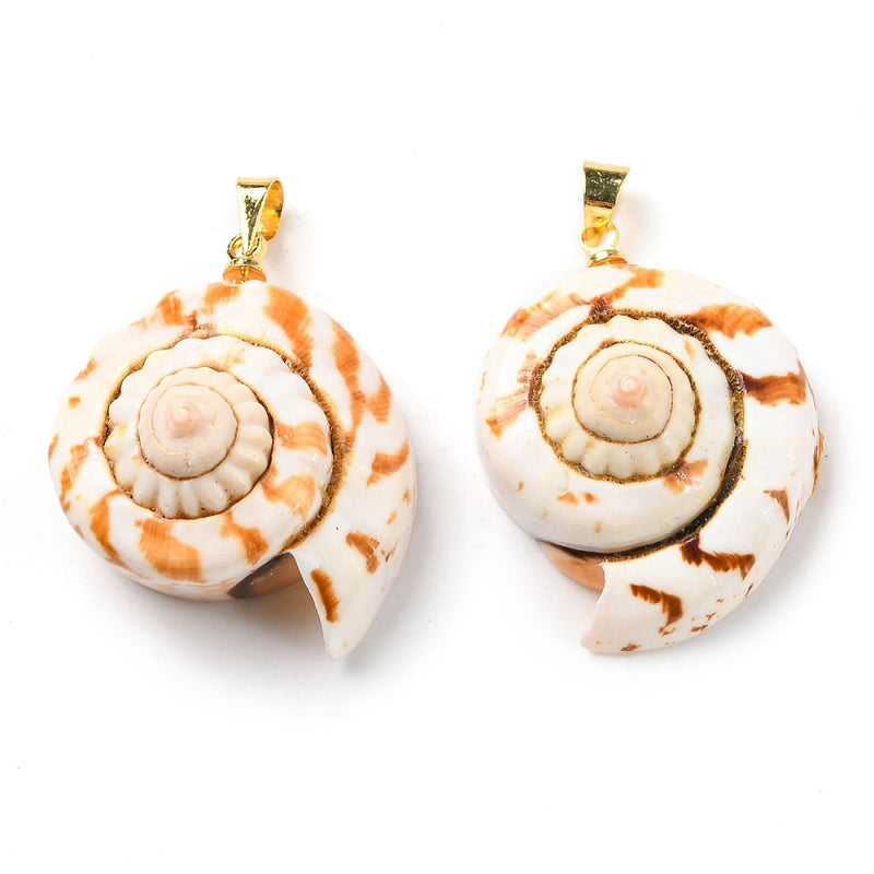 Caracol, Espiral, Charm y Pendant