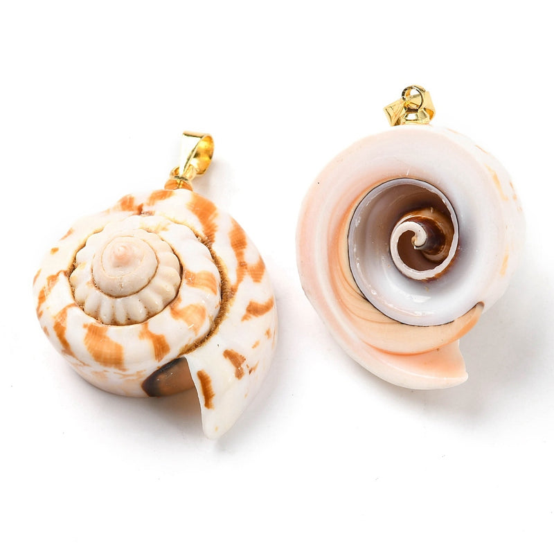 Caracol, Espiral, Charm y Pendant