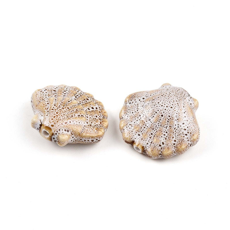 Concha, Porcelana, Beads