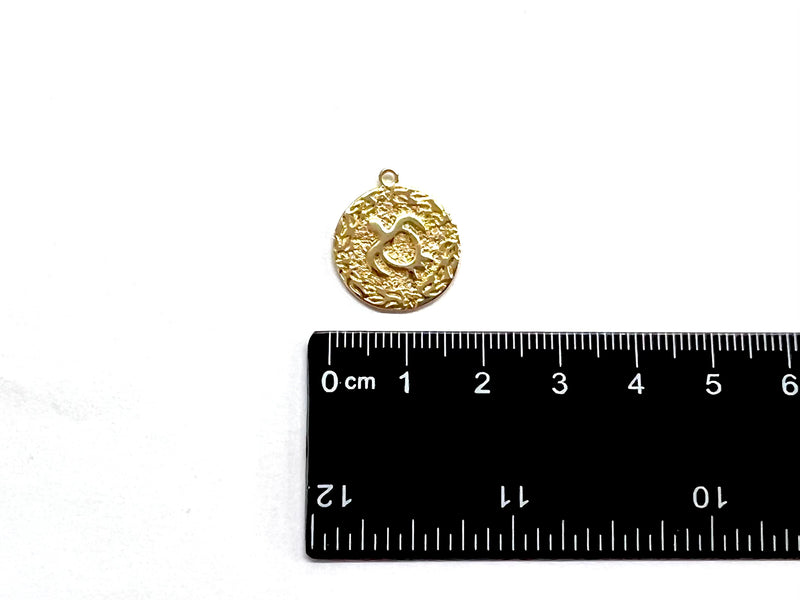 Tortuga, Enchapado 18k, Charm